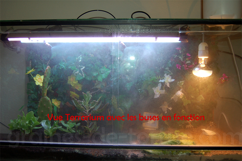 terrarium : vue d'ensemble avec les buses en action